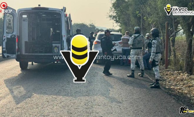 photo_5096179426755546022_y