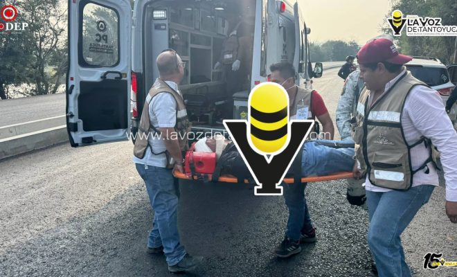 photo_5096179426755546023_y