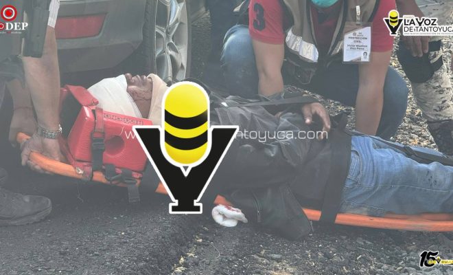 photo_5096179426755546026_y