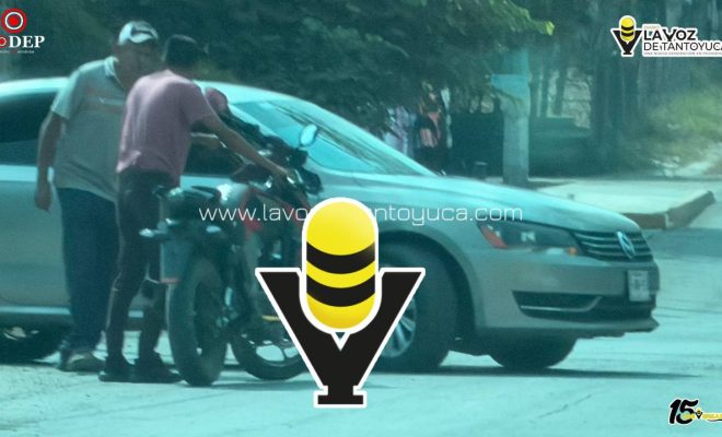 photo_5096179426755546029_y