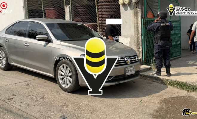 photo_5096179426755546031_y