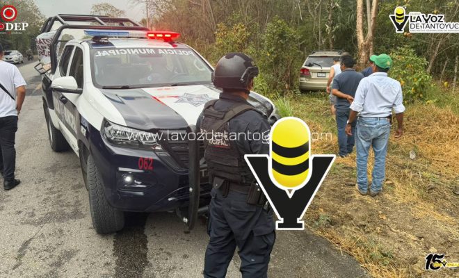 photo_5096179426755546070_y