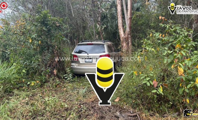 photo_5096179426755546071_y