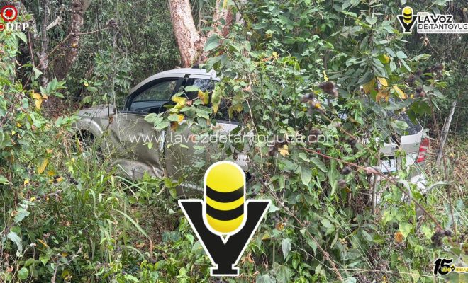 photo_5096179426755546072_y