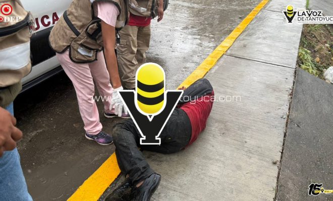 photo_5096179426755546078_y