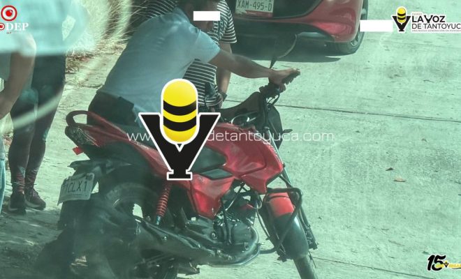 photo_5098083136649759744_y