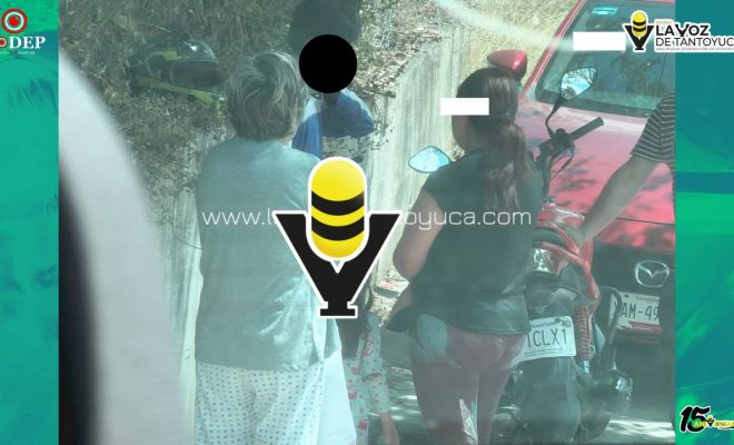 photo_5098083136649759746_y