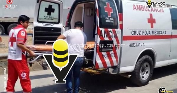 Pitbull agrede a vendedora en el centro de Huejutla