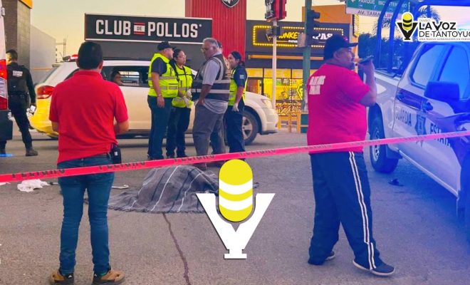 photo_5100462385322986427_y