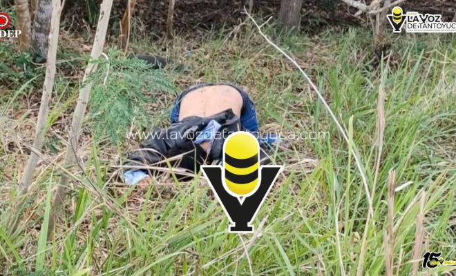 photo_5100514792513932542_y