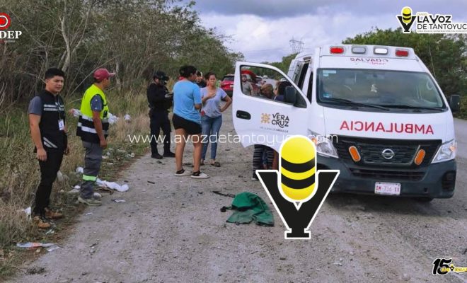 photo_5100514792513932543_y