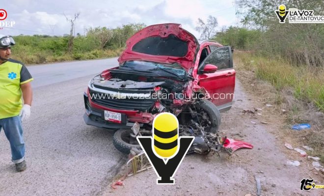 photo_5100514792513932544_y