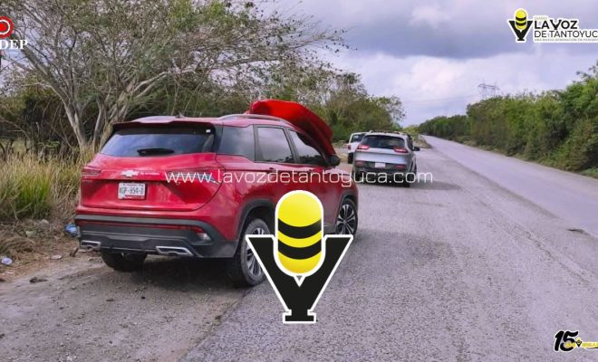 photo_5100514792513932545_y