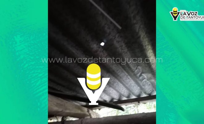 photo_5100708495538981743_y