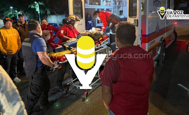 photo_5100708495538981751_y photo_5100708495538981751_y