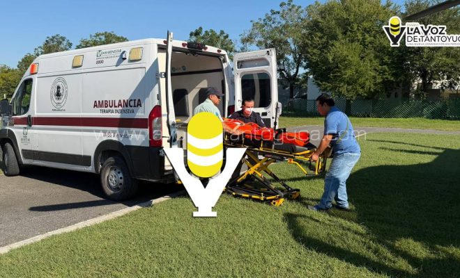 photo_5100708495538981767_y