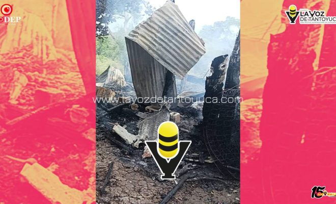 photo_5102586736277130124_y