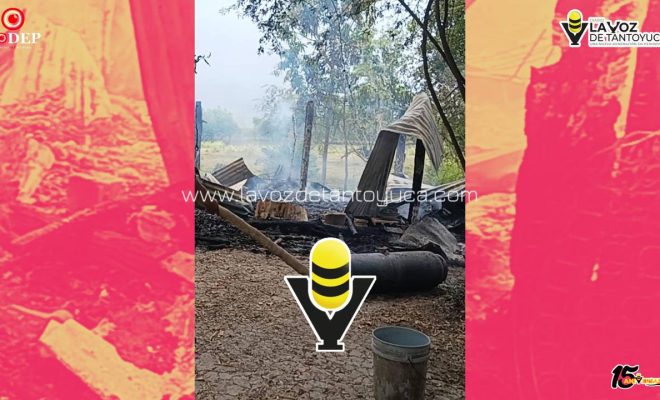 photo_5102586736277130125_y