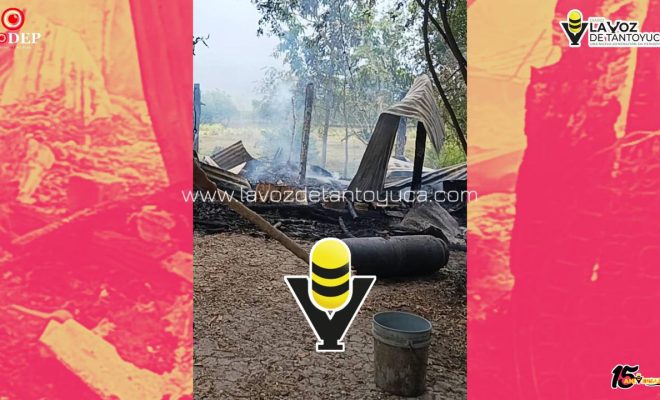 photo_5102586736277130126_y