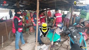 Capturan víbora “Cuatro Narices” en domicilio de Platón Sánchez 