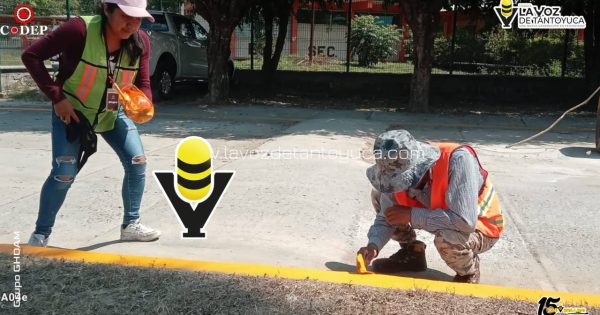 Mejoran imagen urbana en Avenida Juárez de Benito Juárez
