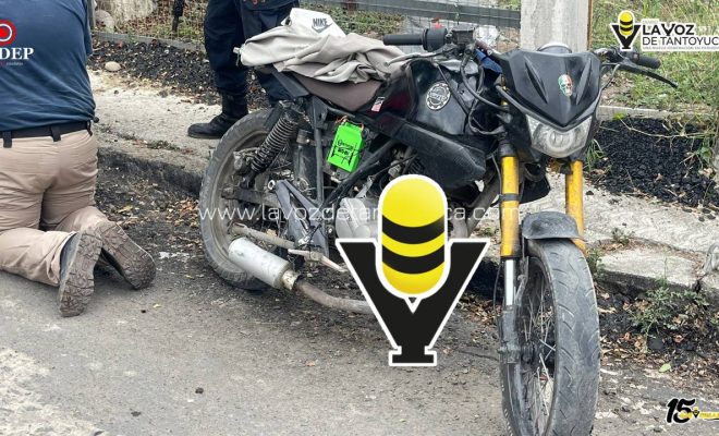 photo_5102586736277130178_y