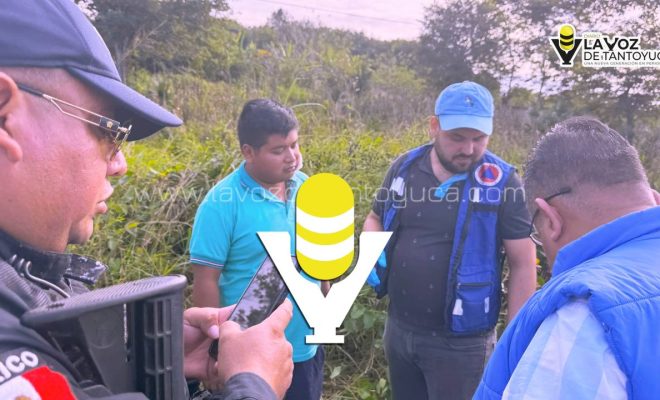 photo_5102890927335869353_y