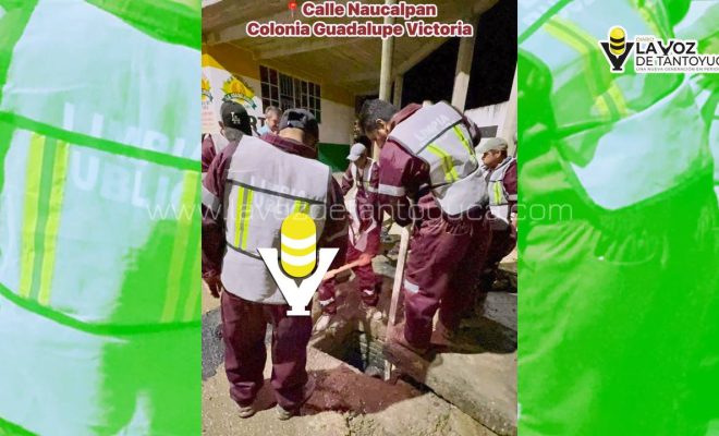 photo_5102890927335869397_y