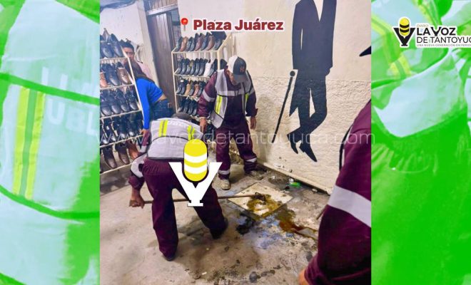 photo_5102890927335869398_y