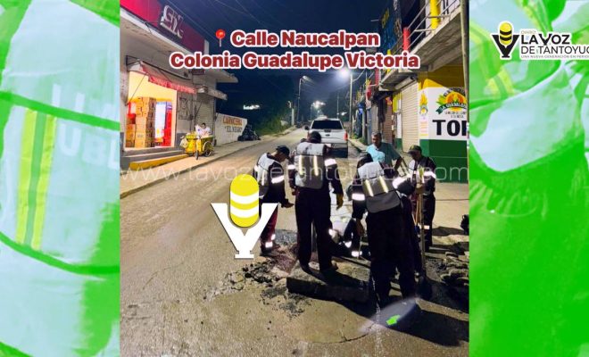 photo_5102890927335869399_y