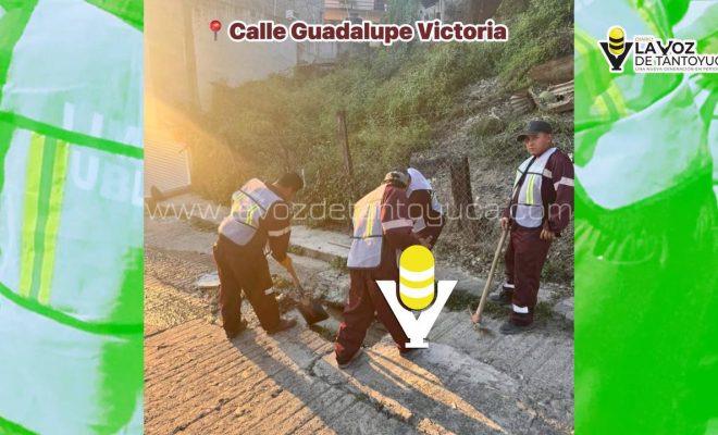 photo_5102890927335869400_y