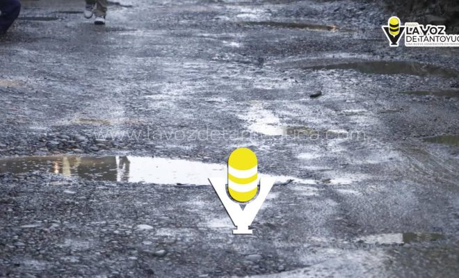 photo_5102960295352667189_y