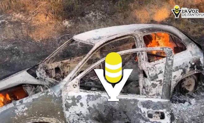 photo_5107615365591665578_y