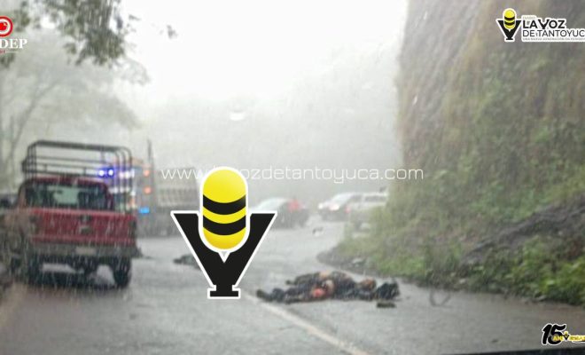 photo_5109547143097158575_y