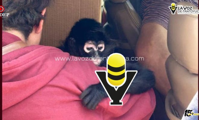 photo_5109547143097158587_y