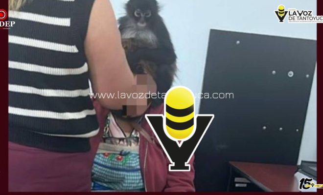 photo_5109547143097158588_y