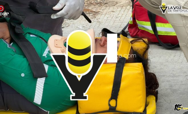 photo_5109547143097158593_y