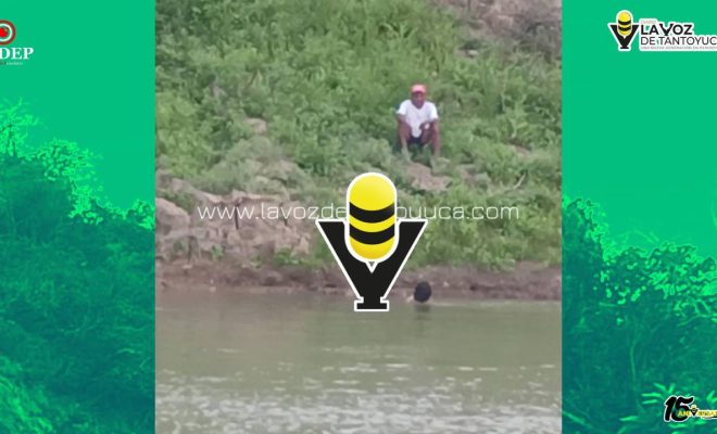 photo_5109547143097158653_y