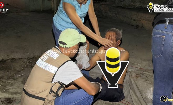 photo_5111798942910844173_y