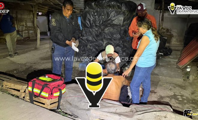 photo_5111798942910844174_y