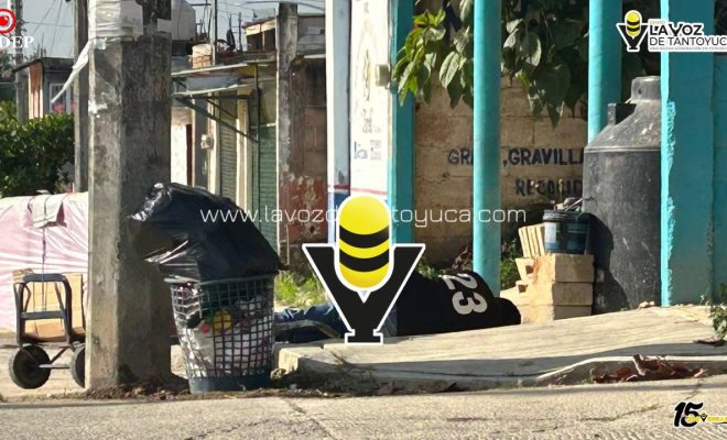 photo_5111883674025659333_y