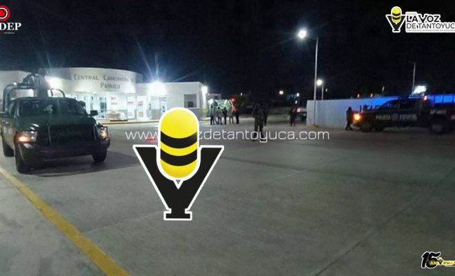 photo_5111883674025659447_y