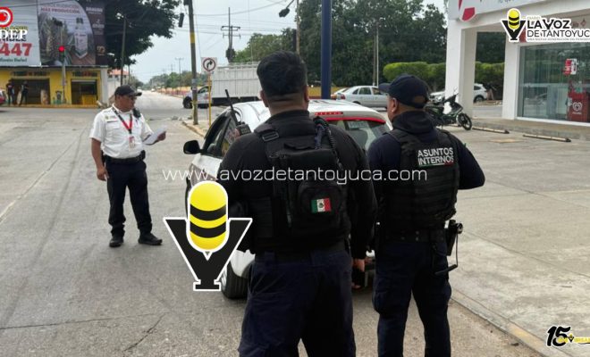 photo_5111883674025659485_y