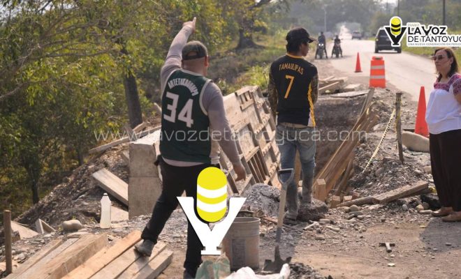 photo_5112093388688788322_y