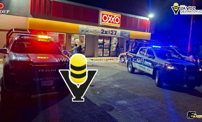 photo_5114135473839344657_y