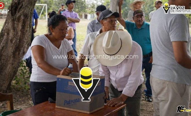 photo_5114135473839344670_y