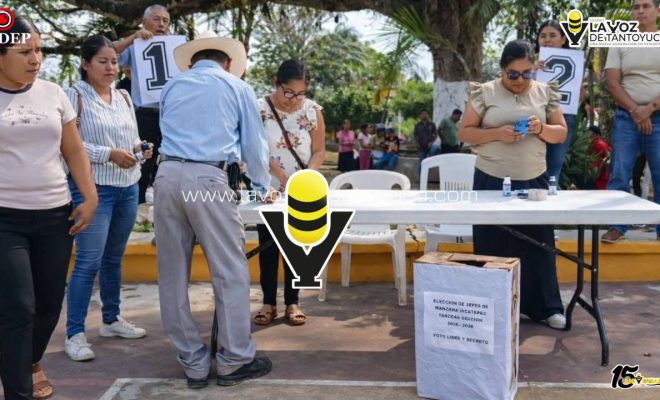 photo_5114135473839344671_y