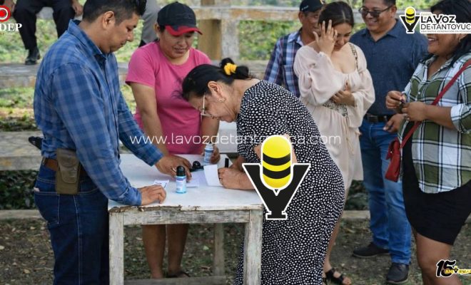 photo_5114135473839344672_y