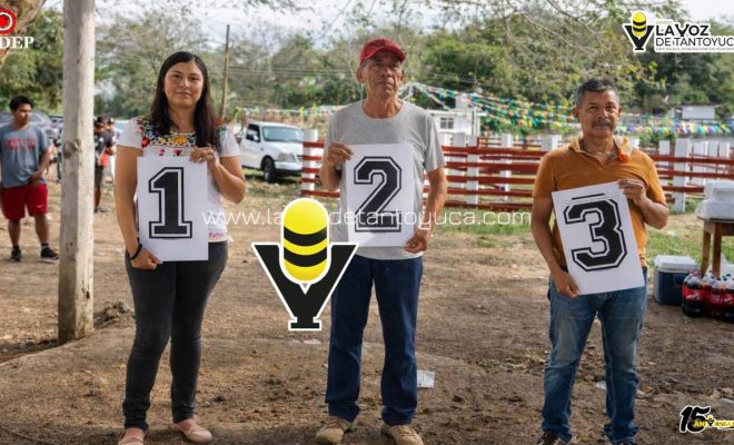 photo_5114135473839344674_y