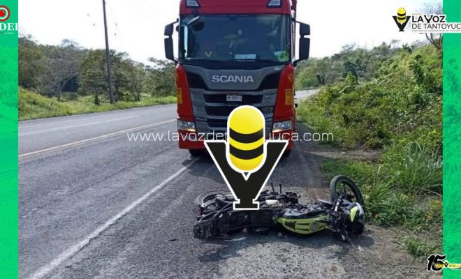 photo_5114135473839344713_y